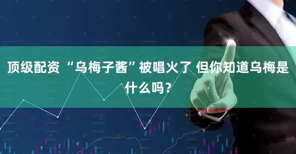 顶级配资 “乌梅子酱”被唱火了 但你知道乌梅是什么吗？