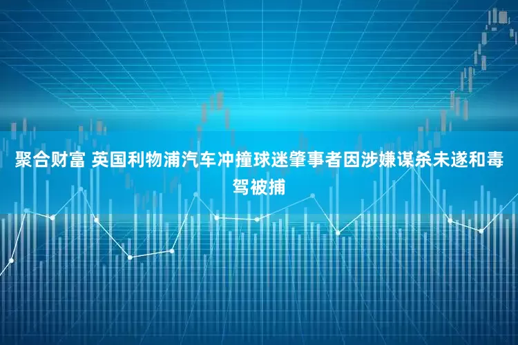 聚合财富 英国利物浦汽车冲撞球迷肇事者因涉嫌谋杀未遂和毒驾被捕