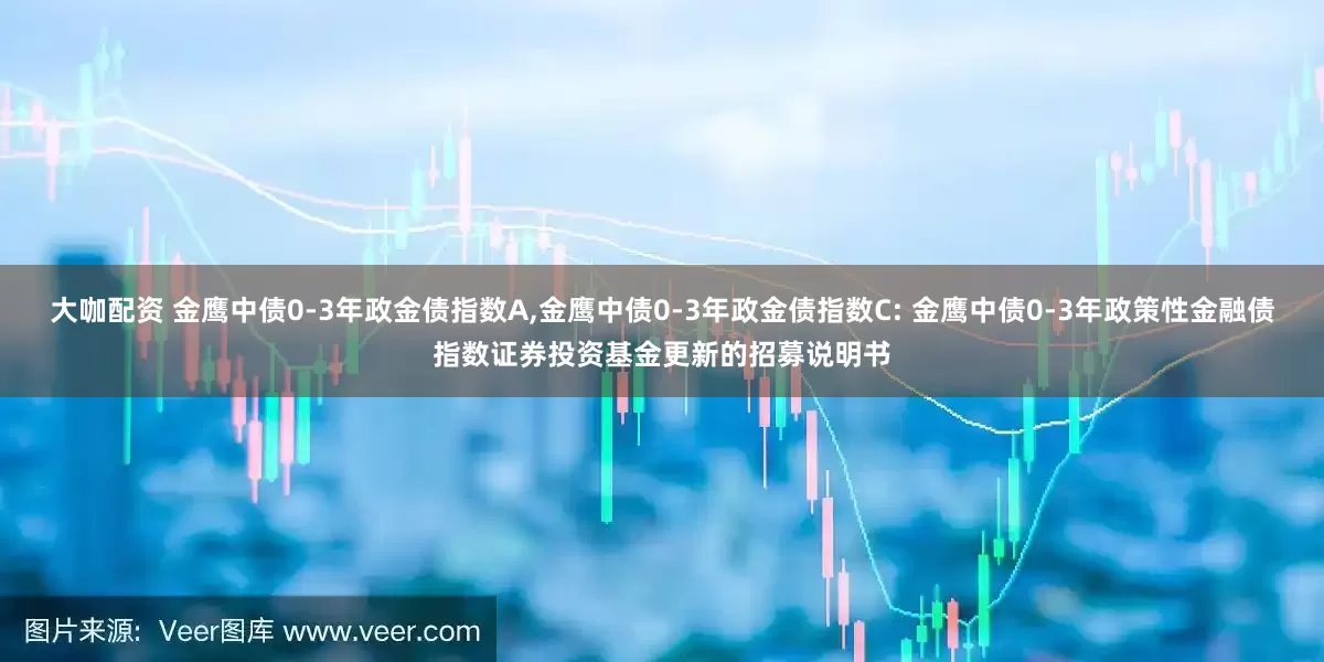 大咖配资 金鹰中债0-3年政金债指数A,金鹰中债0-3年政金债指数C: 金鹰中债0-3年政策性金融债指数证券投资基金更新的招募说明书