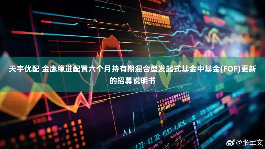 天宇优配 金鹰稳进配置六个月持有期混合型发起式基金中基金(FOF)更新的招募说明书
