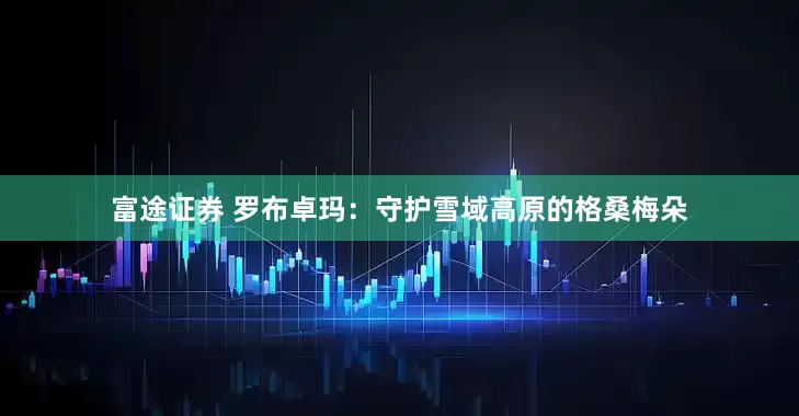 富途证券 罗布卓玛：守护雪域高原的格桑梅朵