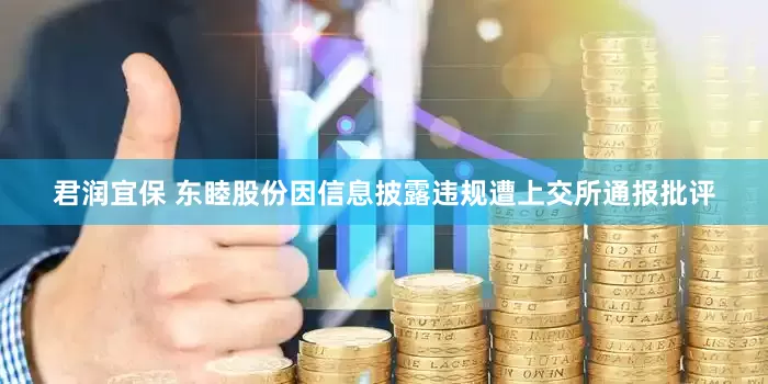 君润宜保 东睦股份因信息披露违规遭上交所通报批评