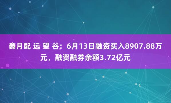 鑫月配 远 望 谷：6月13日融资买入8907.88万元，融资融券余额3.72亿元
